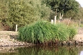 11_la_briere_015