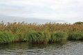 11_la_briere_040
