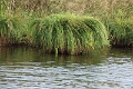 11_la_briere_041