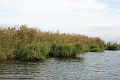 11_la_briere_042