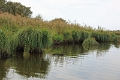 11_la_briere_046