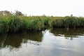 11_la_briere_049