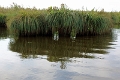 11_la_briere_050