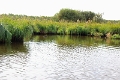11_la_briere_051