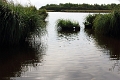 11_la_briere_054