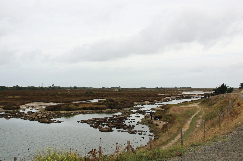 15_noirmoutier_003.jpg