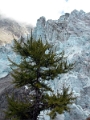 glacier_argentiere_015