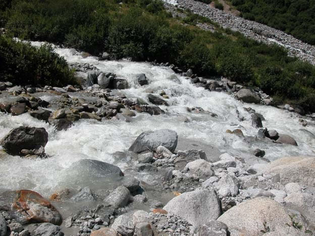 trient_006.jpg