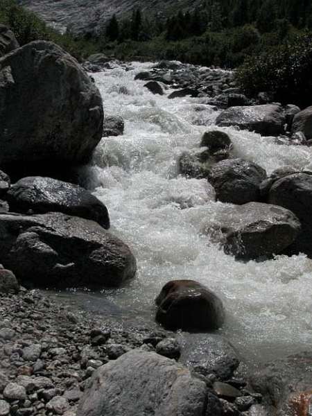 trient_007.jpg