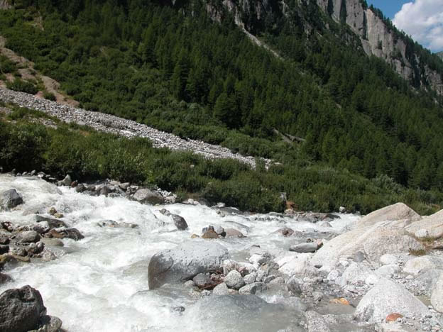 trient_011.jpg