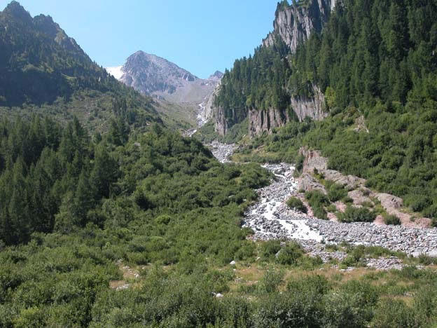 trient_015.jpg