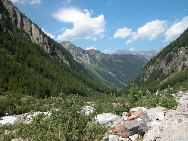 trient_019.jpg