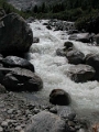 trient_007