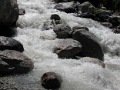 trient_008
