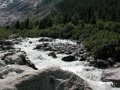 trient_010