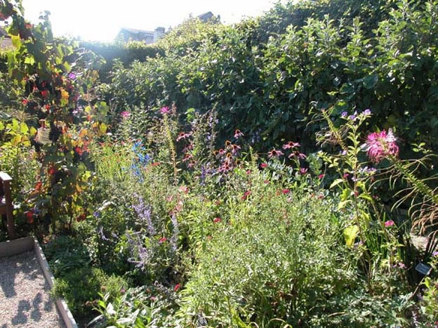 yvoire_jardin_001.jpg