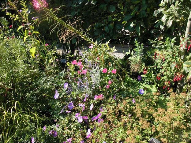 yvoire_jardin_002.jpg
