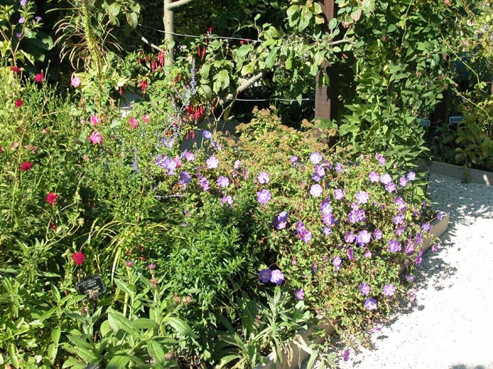 yvoire_jardin_003.jpg