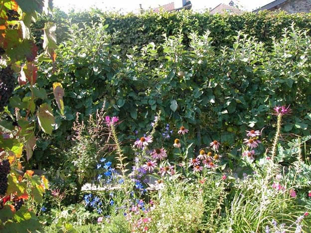 yvoire_jardin_004.jpg