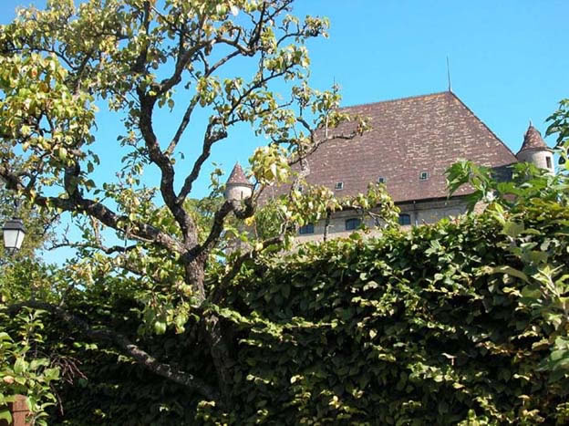 yvoire_jardin_006.jpg