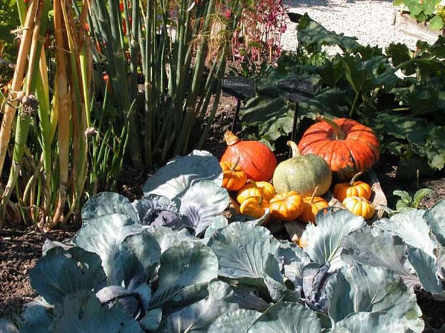 yvoire_jardin_018.jpg