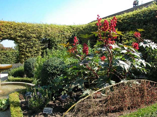 yvoire_jardin_027.jpg