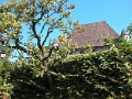 yvoire_jardin_006