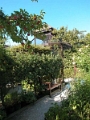 yvoire_jardin_017