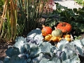 yvoire_jardin_018