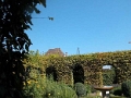 yvoire_jardin_026