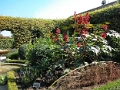yvoire_jardin_027
