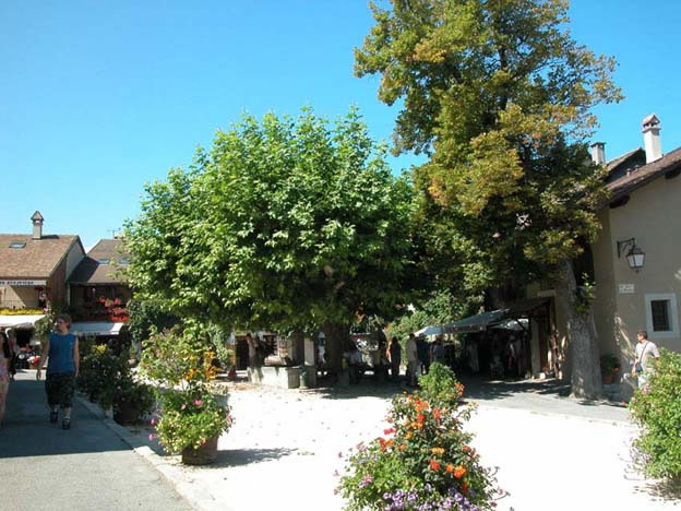 yvoire_ville_020.jpg