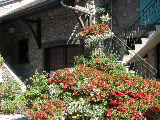 yvoire_ville_035.jpg