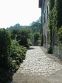 yvoire_ville_003