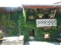 yvoire_ville_017