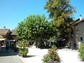 yvoire_ville_020