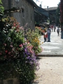 yvoire_ville_023