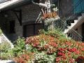 yvoire_ville_035