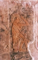 saqq_10_jpg