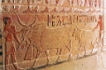 saqq_13_jpg