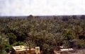 saqq_14_jpg