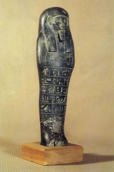 musee_06_jpg.jpg