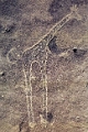 musee_09_jpg