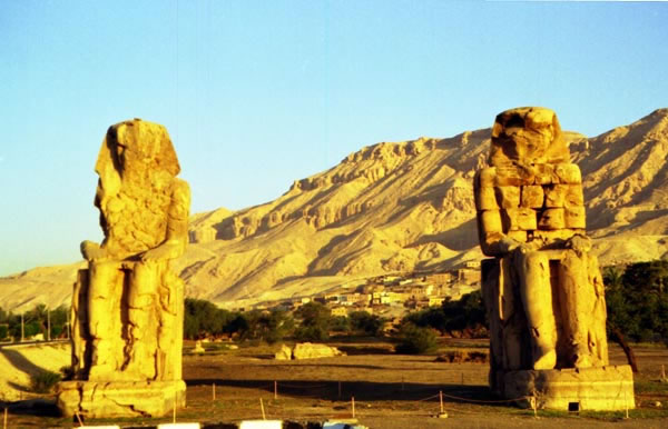 mamnon_03_jpg.jpg