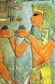 rois_16_jpg