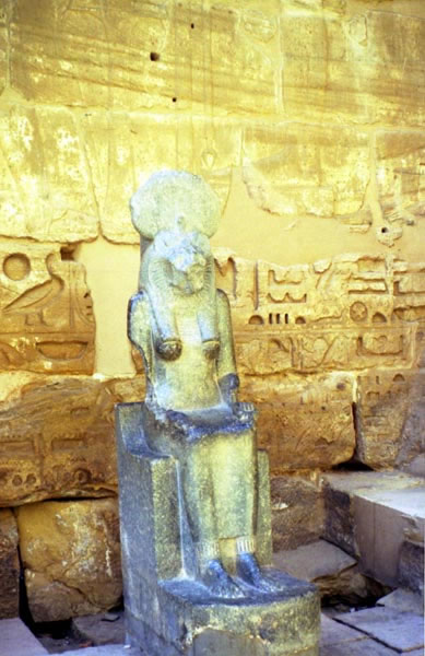 ramas_05_jpg.jpg