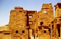 ramas_01_jpg