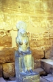 ramas_05_jpg