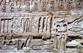 ramas_08_jpg