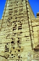 ramas_11_jpg